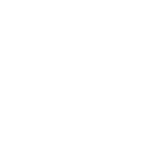 DWHP logo white